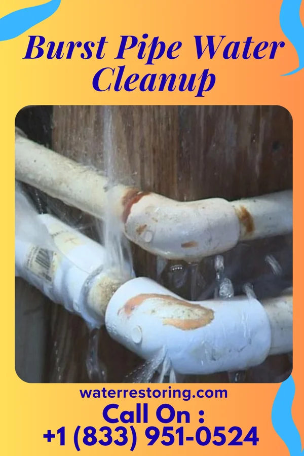 Burst Pipe Water Cleanup in Ridgewood, OH