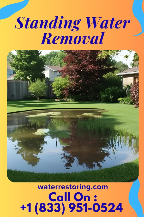 Standing Water Removal in Ridgewood, OH